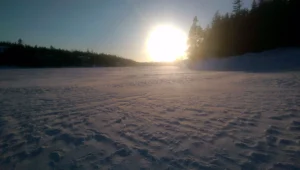 ice-toby-1