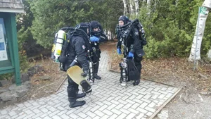 That was a good dive!